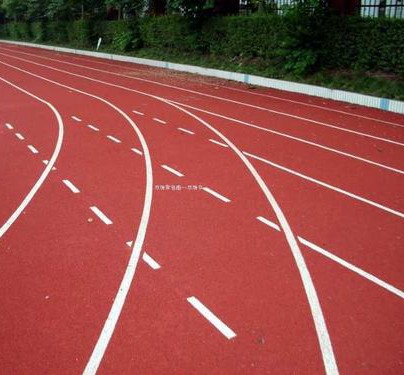  21岁小将安东尼闪耀赛场，6秒41摘得室内世锦赛60米金牌；K-汤普森屈居亚军。 体育新闻