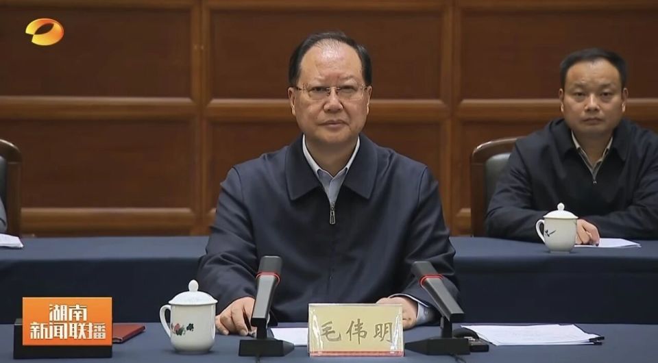  全产业链深度融合：比亚迪入湘模式如何重塑区域工业版图？ 企业服务