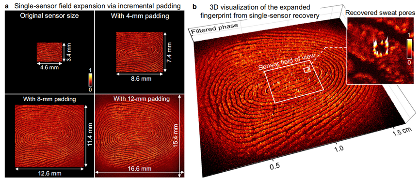  【黑洞拍摄灵感】华人科研团队重构微观视界成像方案 新闻