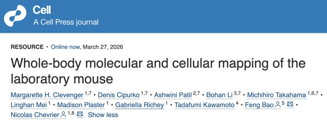 科研界潜藏的“全景地图”：解密小鼠全身分子图谱的底层逻辑