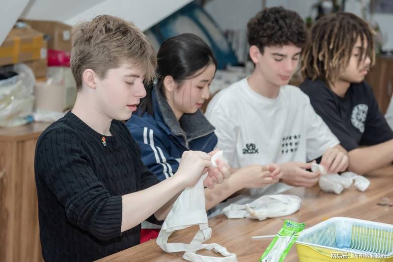 跨洋教育协作的技术底层:从一次中美校际访问看国际交流的标准化实践 教育招生