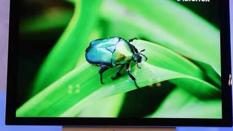  【深度】OLED赛道资本变局：维信诺定增29.37亿元背后的技术博弈与产业逻辑 IT技术