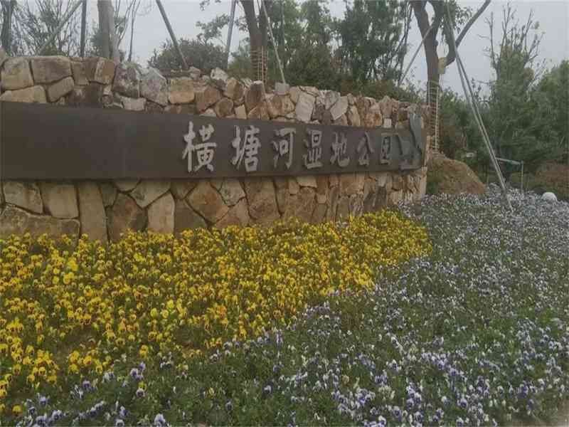 【深度测评】青龙板块低密精装现房:阳光城禹洲·宸悦居住价值全解析 房产家居