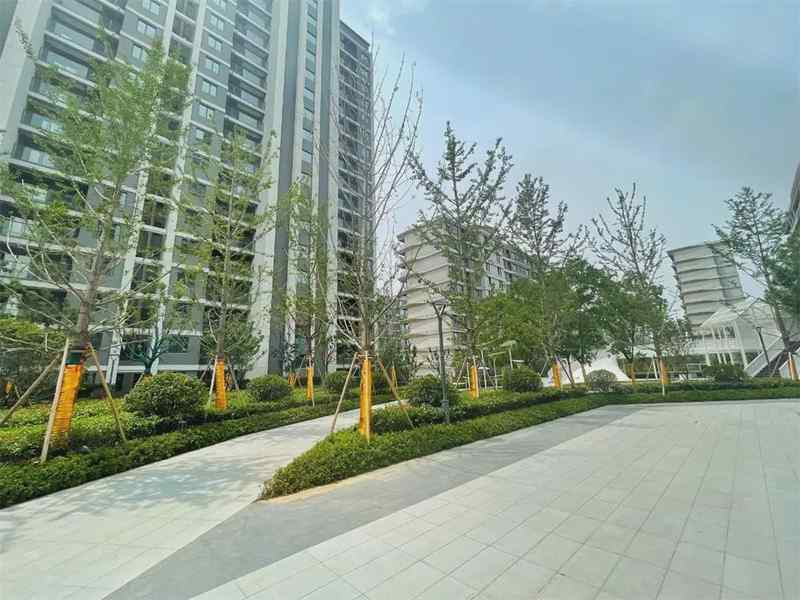 【深度测评】青龙板块低密精装现房:阳光城禹洲·宸悦居住价值全解析 房产家居