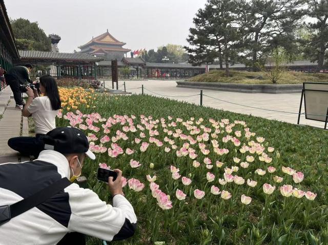 数据解码2026春假试点：三大维度透视文旅消费结构性变革 文化旅游