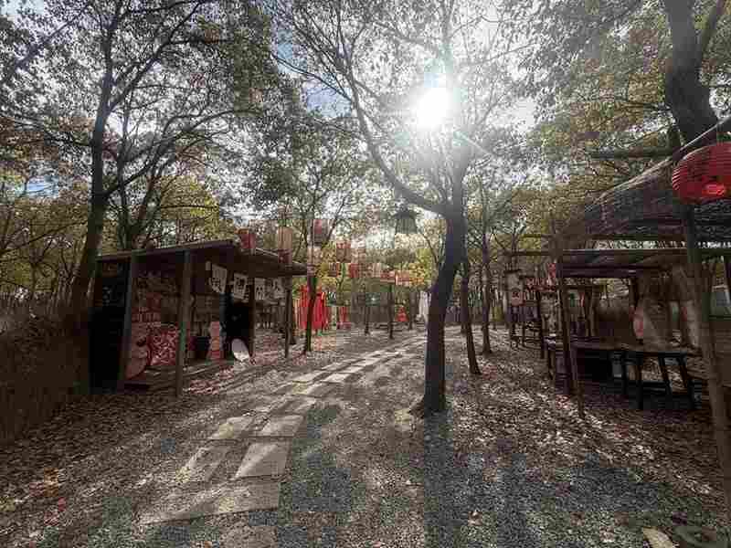  从“过夜中转站”到“艺术目的地”：七灶村乡村旅游转型的底层逻辑与实战方法论 文化旅游