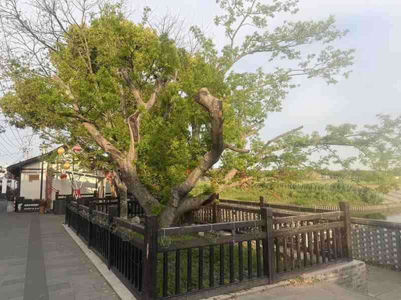  从“过夜中转站”到“艺术目的地”：七灶村乡村旅游转型的底层逻辑与实战方法论 文化旅游