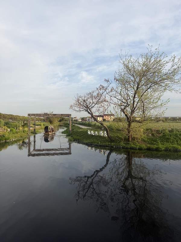  从“过夜中转站”到“艺术目的地”：七灶村乡村旅游转型的底层逻辑与实战方法论 文化旅游