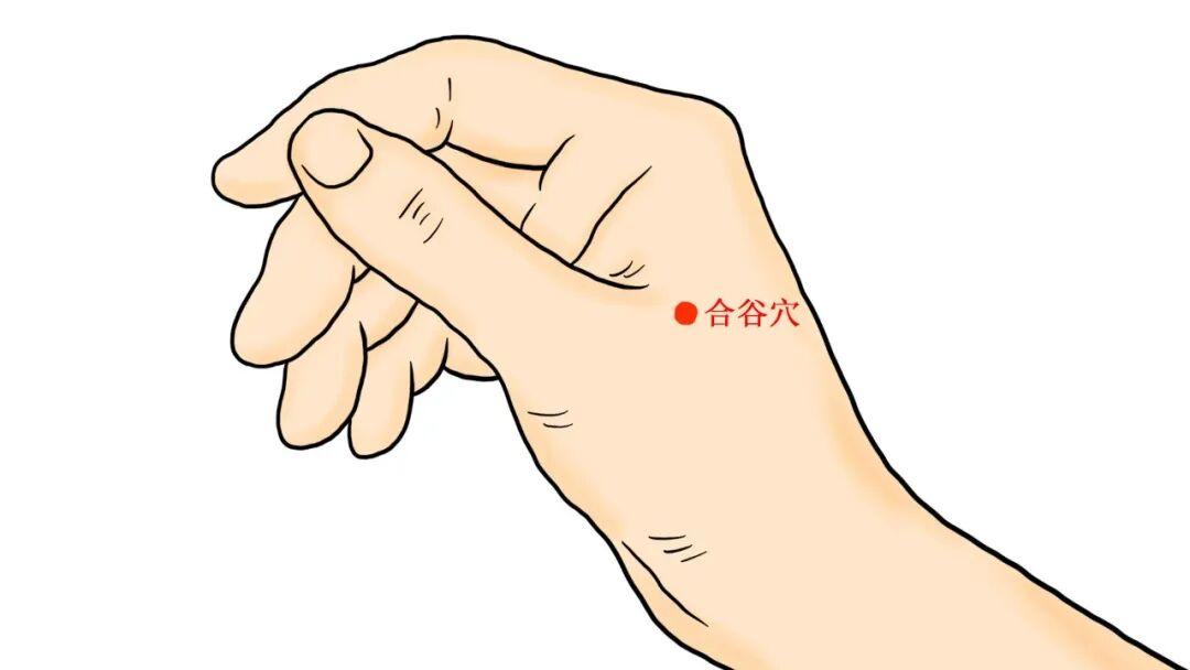  手部穴位按摩与肝脏代谢：从中医经络理论解析疏肝解郁的科学机制 健康养生