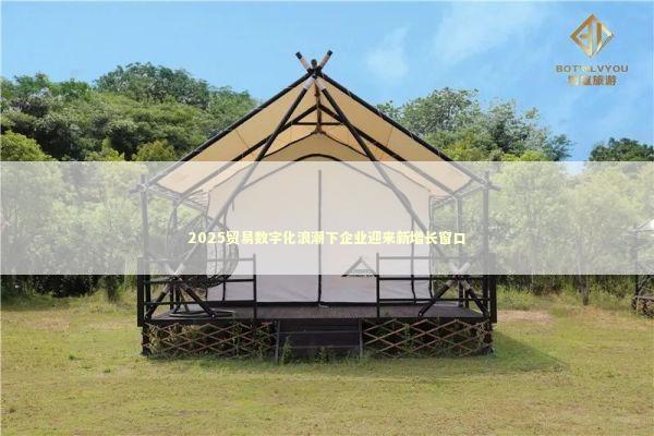 2025贸易数字化浪潮下企业迎来新增长窗口 新闻