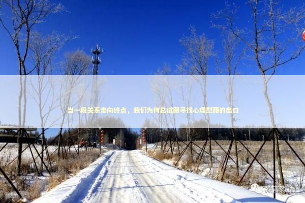 当一段关系走向终点，我们为何总试图寻找心理慰藉的出口