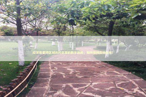 经常需要跨区域访问资源的数字游民，如何保持高效连接？