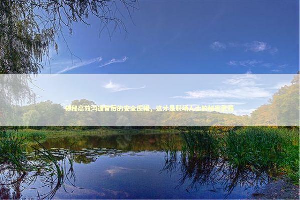 揭秘高效沟通背后的安全逻辑，这才是职场人士的秘密武器 企业服务