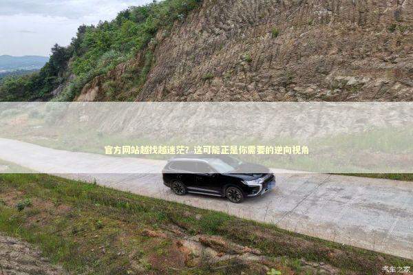 官方网站越找越迷茫？这可能正是你需要的逆向视角