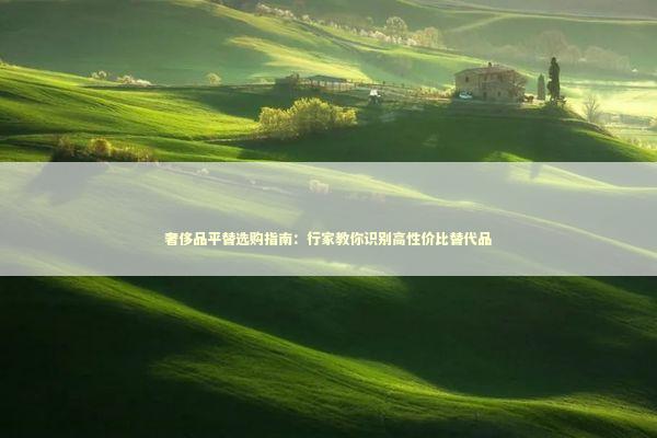 奢侈品平替选购指南：行家教你识别高性价比替代品 时尚用品