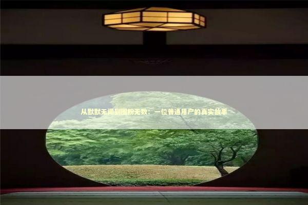 从默默无闻到圈粉无数：一位普通用户的真实故事