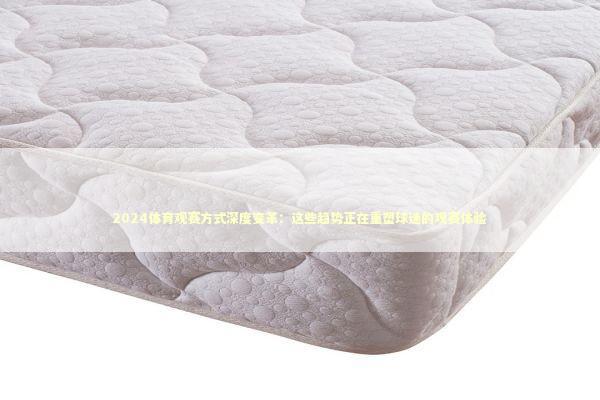 2024体育观赛方式深度变革：这些趋势正在重塑球迷的观赛体验