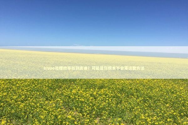 Issue处理效率低到离谱？可能是你根本不会用这套方法