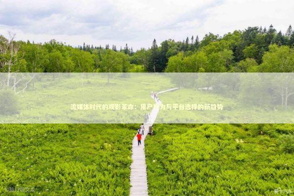 流媒体时代的观影革命:用户行为与平台选择的新趋势 流媒体时代的观影革命:用户行为与平台选择的新趋势 影视小说